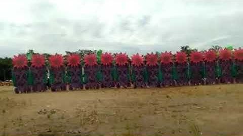 UGSOD UGSOD FESTIVAL 2018 ( CHAMPION ) LIMBAAN NHS