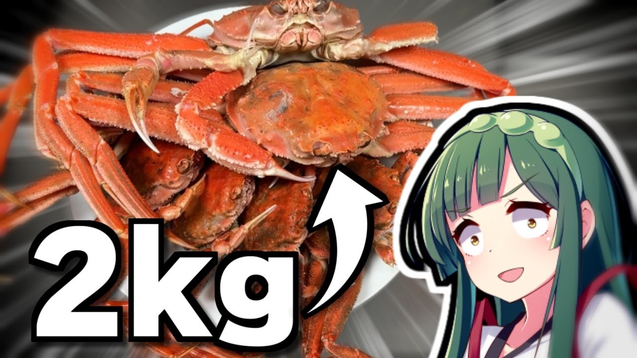 ♯Hsi09LJ地球生命紀行サメ＆日本近海の生き物ストラップフル8種