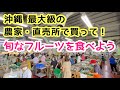 【沖縄旅行  おすすめ】沖縄最大級の農家直売所で買って、旬な沖縄フルーツを食べよう！【沖縄ドライブ】