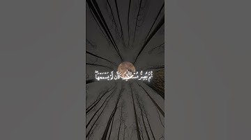 سورة الجاثية الشيخ محمد اللحيدان...🫀