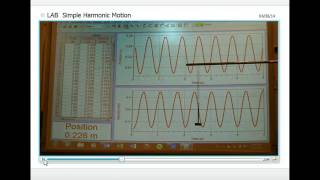 LAB AP - Simple Harmonic Motion
