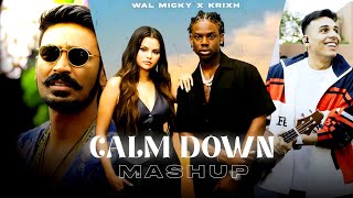 CALM DOWN 2023: Walmicky Mashup | Anuv Jain & Rema