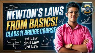 Class 11 Newtons Law of Motion Bridge Course