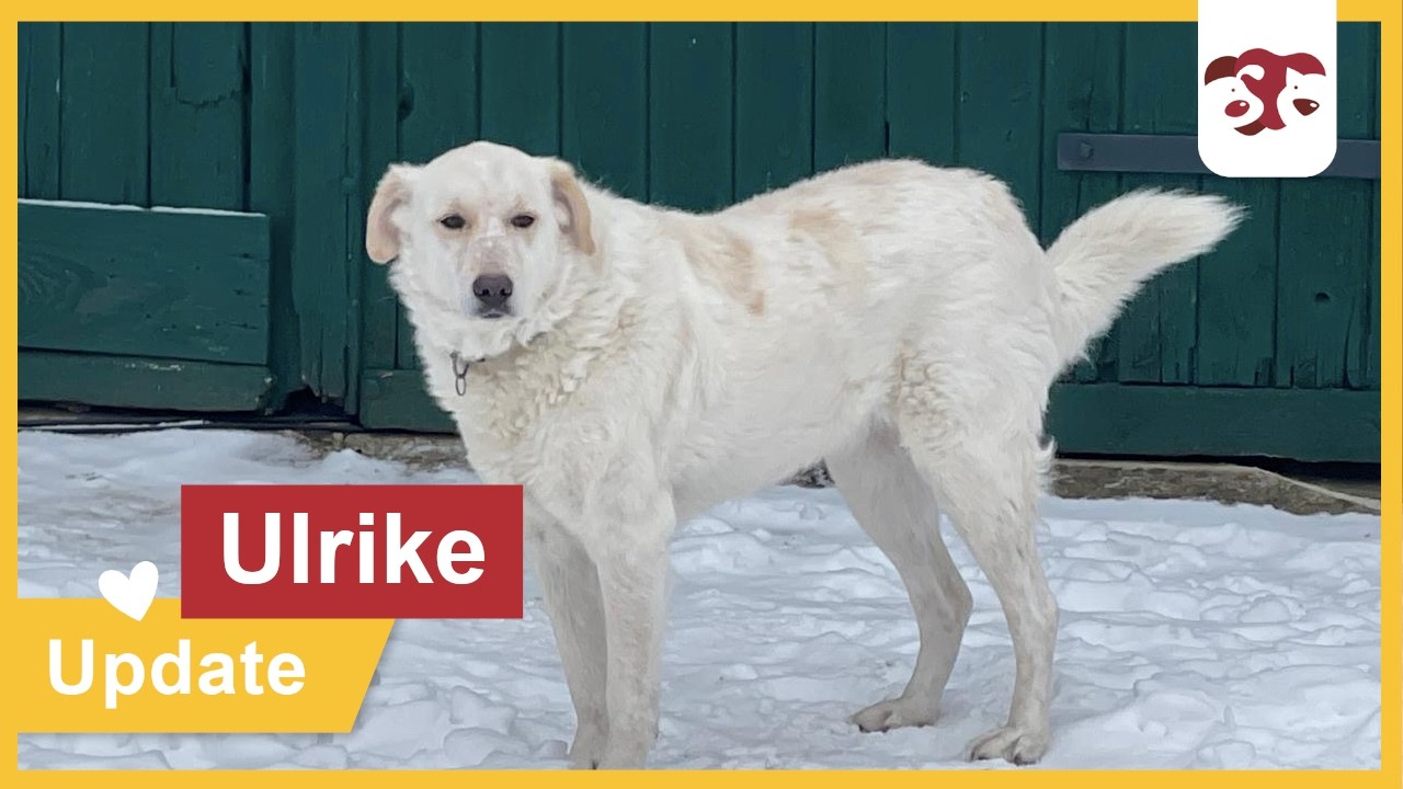 Ulrike - Update Januar 2026