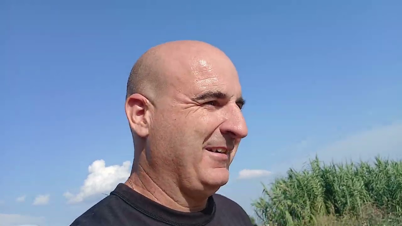 EL ABEJARUCO MI FIEL COMPAÑERO DE VERANO.