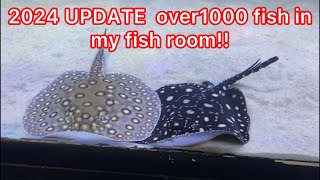 Fish room update 2024