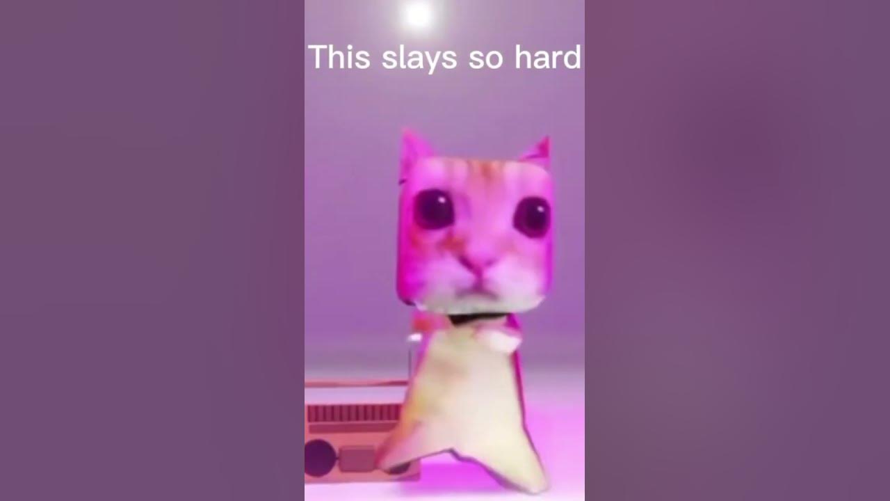 El gato dancing
