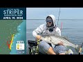 Striper migration report  april 19 2024