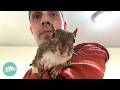 Man brings home a baby squirrel she grows into a firecracker  cuddle buddies