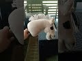 Daily 14 //moje wszystkie hh part 1