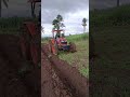 Farm Cultivation