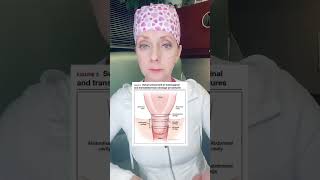 Cerclage transabdominal pour insuffisance cervicale screenshot 2