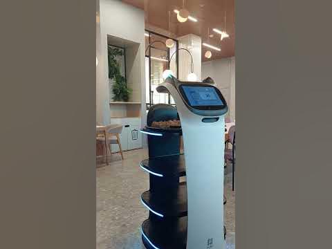 Иннополис, робот-кот-официант - YouTube