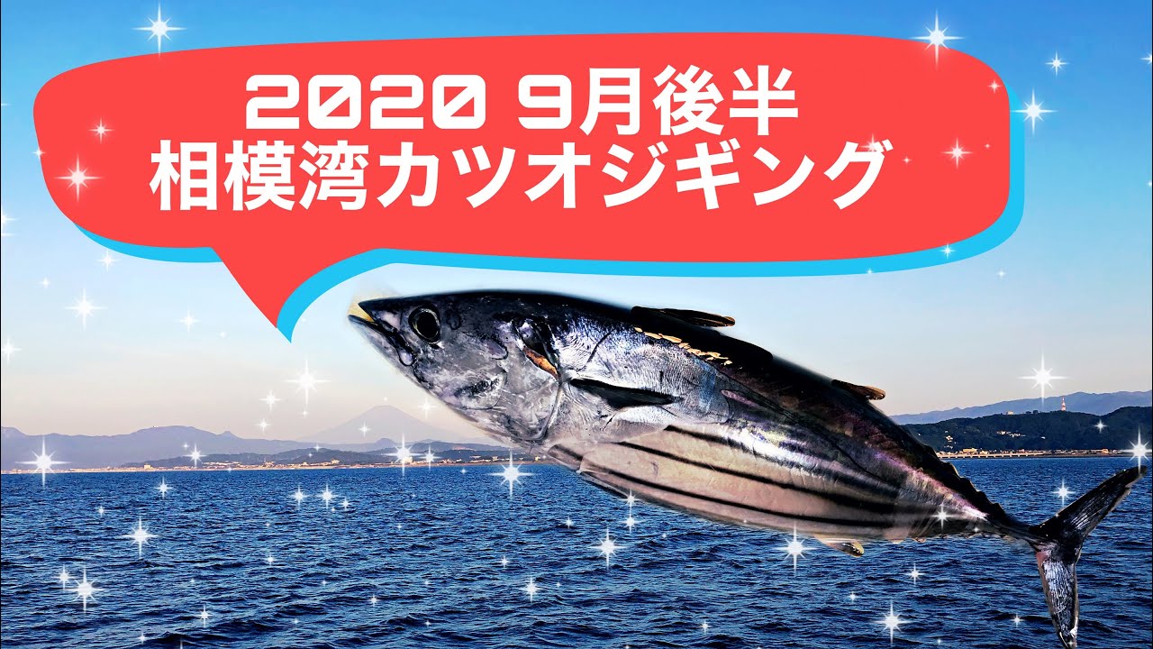 2020.9月後半　相模湾カツオジギング【秋のカツオ】