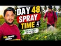 Day 48 – MBA 🍈🚜Bar lo mandu avadaina kodutaadu…Kaani polam lo kotte vaadiki oka range untundi 💪🌱