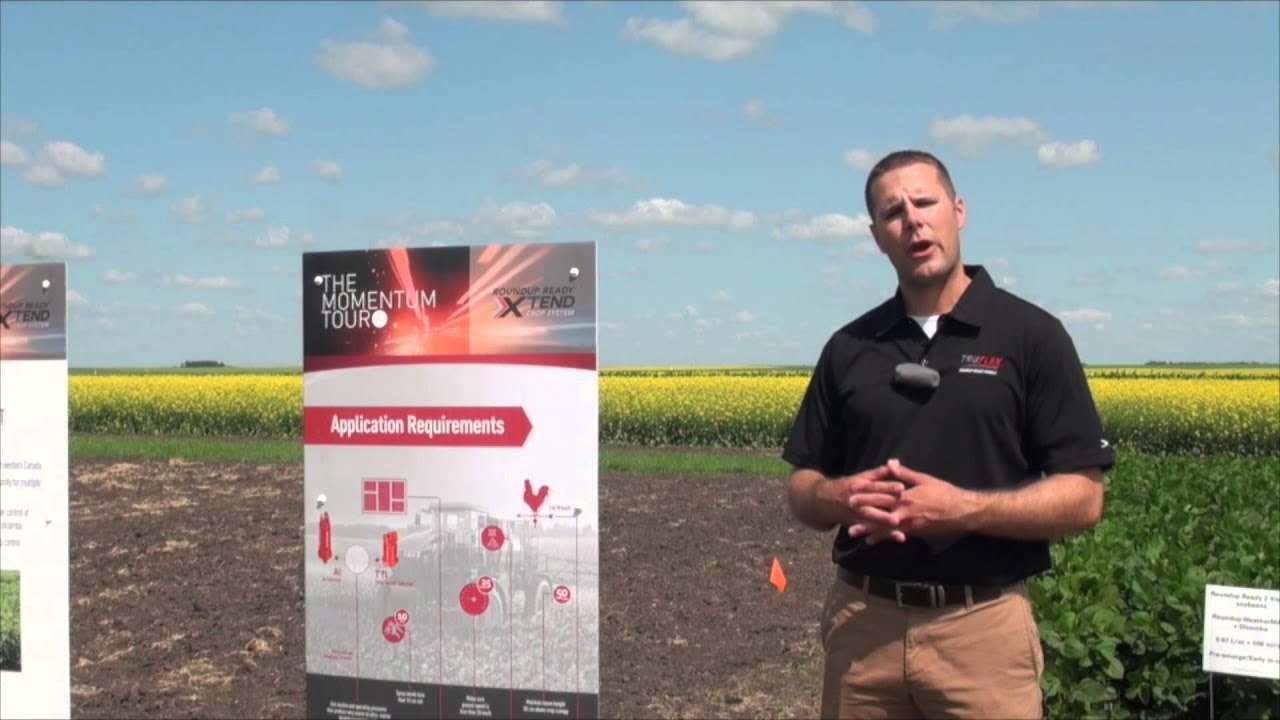 Monsanto Xtend Soybeans Headed to Ontario Growers YouTube