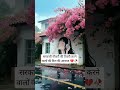 राह देखेंगे तेरी जमाने लग जाए 🥀 🙂 #trueline #emotional #shayari #motivation #explore #ssc #ssccgl