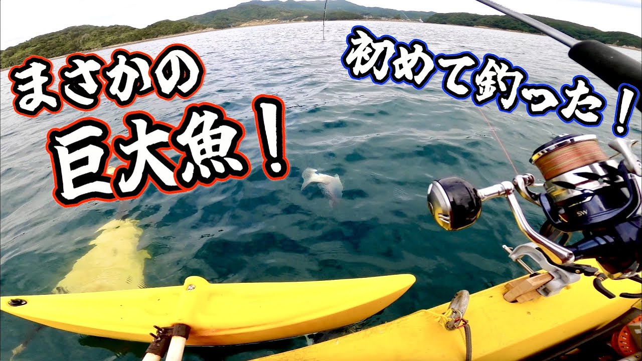 泳がせ&ルアーで特大の一本！
