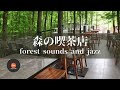 環境音+JAZZ やさしい森の喫茶店 森の中でリラックス ジャズBGM CAFE MUSIC - 作業用BGM