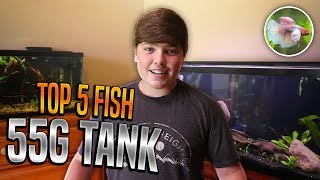 Best Fish For 55 Gallon Tank!!!! Best Fish For 55 Gallon Tank!!!! Today I