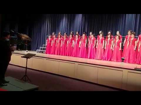 《回娘家》雅韵和乐合唱团荣获金奖