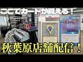 【店舗配信】福岡から最新入荷も!特別商品をチェック!秋葉原店舗から配信!【東京MTGオンラインブース】