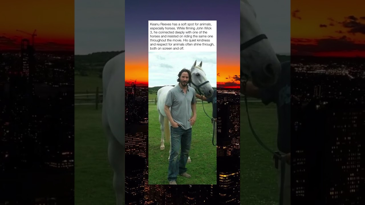 Keanu Reeves’ Horse from John Wick 3