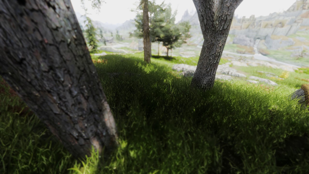 Skyrim - 4k - GTX 1070 SLI