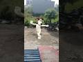Jab Se Chadhal ba javani #funny #cartoon #dance #shortvideo 😀😀