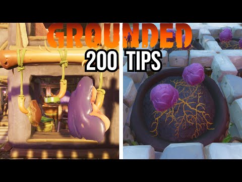 200 Tips &