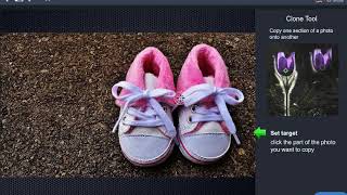 PiZap's Quick Photo Editing Tutorial: How to use the CLONE TOOL screenshot 3