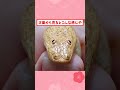 なんｊ民みたいなヘビが見つかるｗｗ#2ch面白いスレ #2ch #5ch #shorts