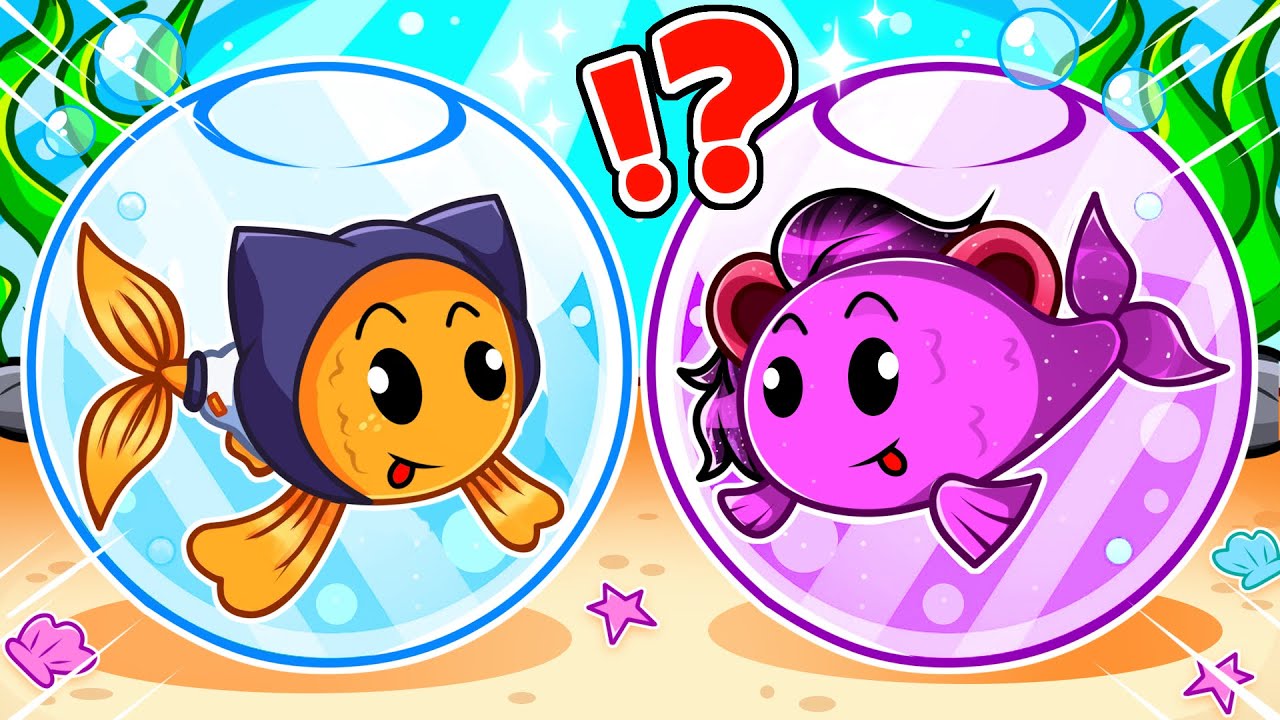 NOS TRANSFORMAMOS EN UNA FAMILIA DE PECES