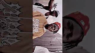 freestyle hm cotema usa côté d'ivoire 225 young rich niggas