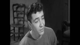 Don Sullivan - The Mushroom Song