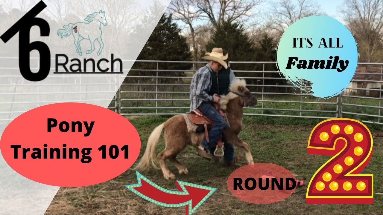 “Pony Training 101” Cowboy Goes a Flyen @Bar6 Ranch