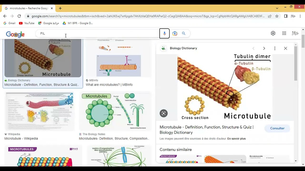 Biologie cellulaire ; le cytosquelette