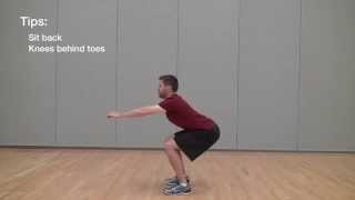 Squatting mechanics