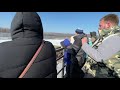 Показательное КОРМЛЕНИЕ и ПОДАРКИ ЛЬВАМ !! Парк БЕЛЫЙ ЛЕВ / Feeding lions. THE WHITE LION PARK ❤️