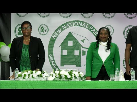 Live NNP NYC Townhall meeting 10/27/2024