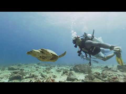 Scuba Diving Maldives Maafushi Kandooma Thila Insta360 X4