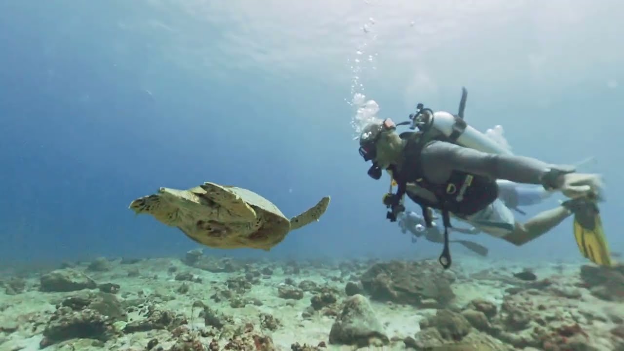 Scuba Diving Maldives Maafushi Kandooma Thila Insta360 X4