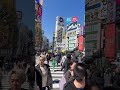 Tokyo Japan Shibuya Scramble Crossing 東京渋谷スクランブル交差点 in 日本 #japantravel #traveljapan #japaneseculture