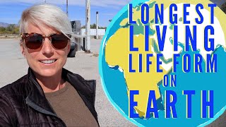 Great Basin National Park - RV Living Great Basin National Park - RV Living