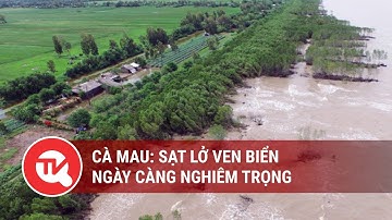 Cà Mau: Sạt lở ven biển ngày càng nghiêm trọng | Truyền hình Quốc hội Việt Nam