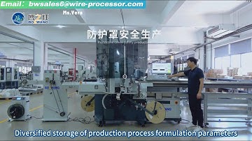 BZW -3.0-TF07 Automatic Wire Cutting, Stripping and Crimping Machine