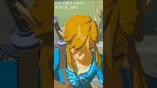 Link Est Un Aura Farmer
