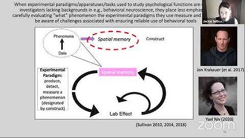 “Cognitive Ontologies, Epistemic Communities and Coordinated Pluralism” by Jackie Sullivan
