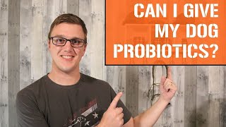 Can I Give My Dog Probiotics? Why You Should Give Your Dog A Probiotic