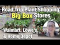 Road-Trip Big Box Plant Shopping - Walmart, Lowes, & Home Depot - Atlanta to Charlotte